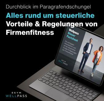 Steuer Factsheet
